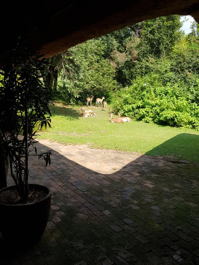 Kruger Park Lodge Unit No. 277 ヘイジービュー エクステリア 写真
